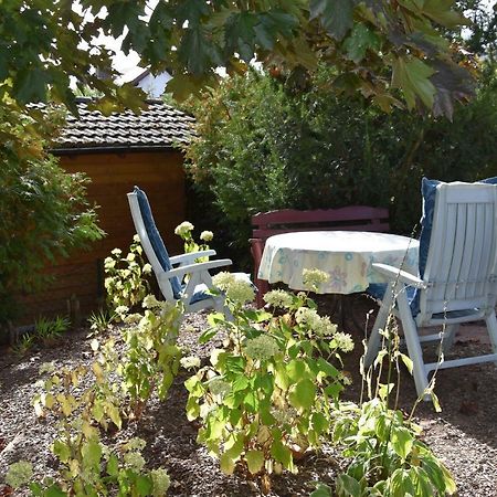 Appartamento Heidi'S Haeuschen Schollbrunn Esterno foto