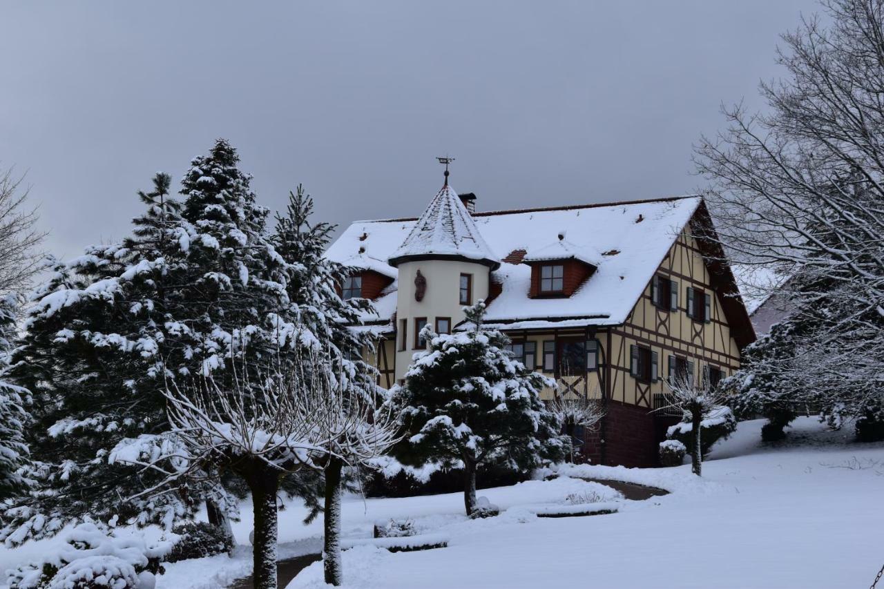 Appartamento Heidi'S Haeuschen Schollbrunn Esterno foto